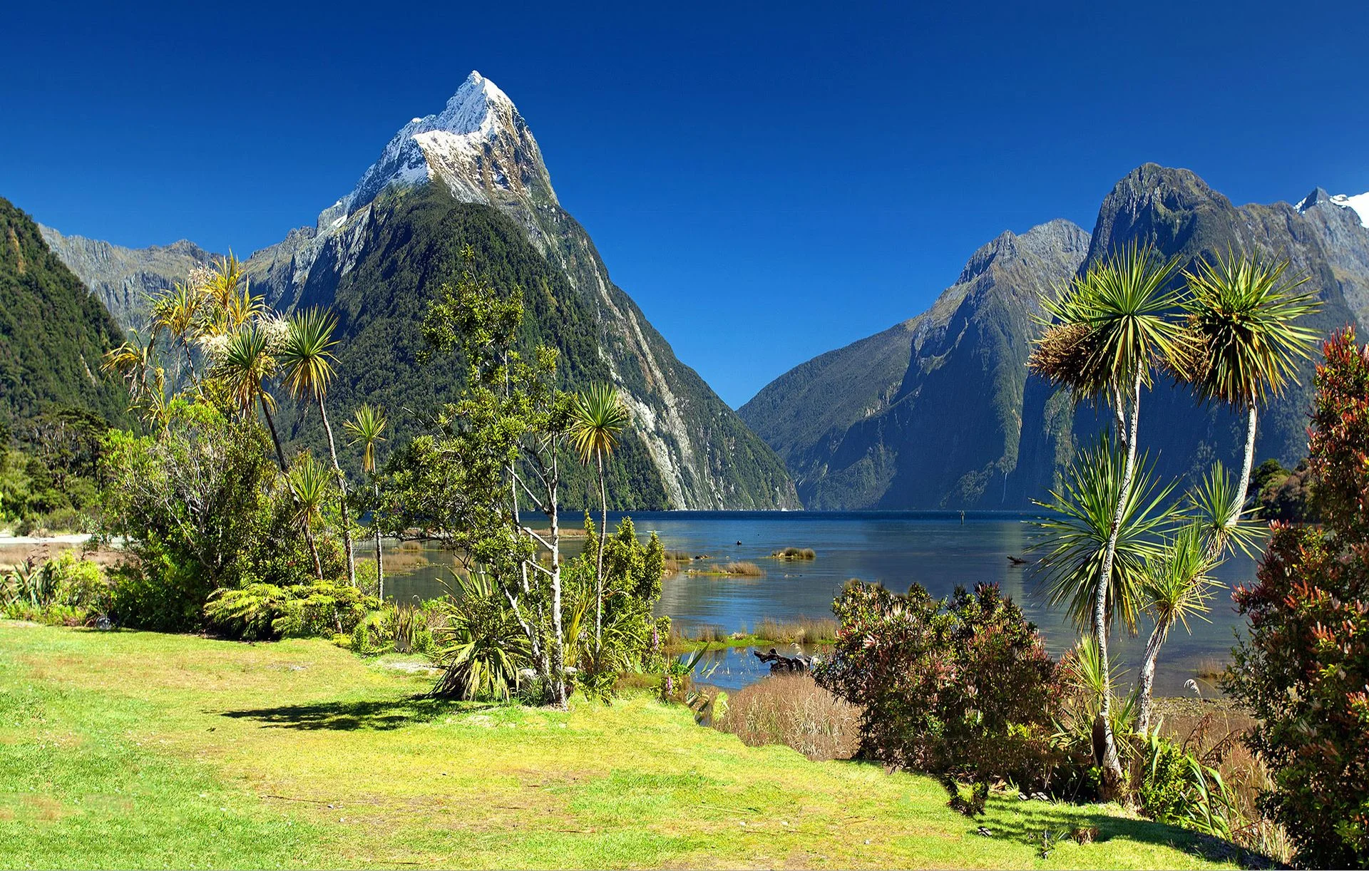Capa visual do destino Auckland